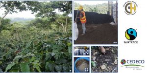 Manual Orientador de Producción Orgánica de Café Certificado